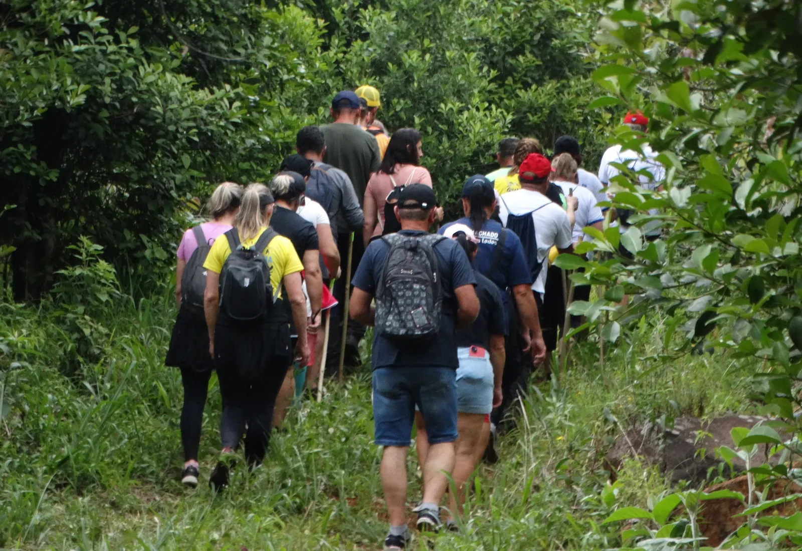 Primeira Caminhada na Natureza reúne mais de 400 participantes e movimenta o turismo local