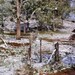 Neve embeleza a paisagem cruz-machadense
