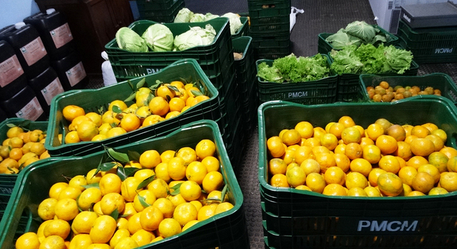 Programa de Aquisição de Alimentos beneficia agricultores e entidades municipais