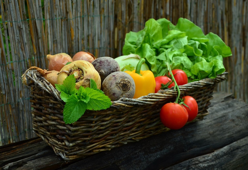 Produtores interessados em comercializar produtos hortifrutigranjeiros no Programa PAA devem comparecer até o dia 8 de fevereiro na secretaria de Agricultura